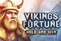 Vikings Fortune Hold and Win slot